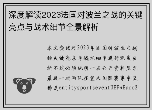 深度解读2023法国对波兰之战的关键亮点与战术细节全景解析