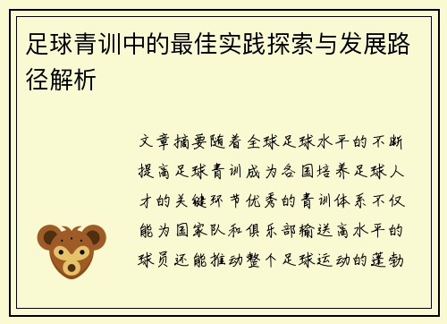 足球青训中的最佳实践探索与发展路径解析